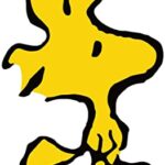 Daftman