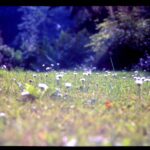 Meneer van Beusdenkom