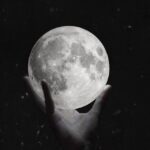 Moonshiner79
