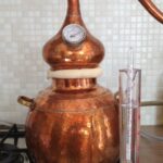 Steukelmoaze